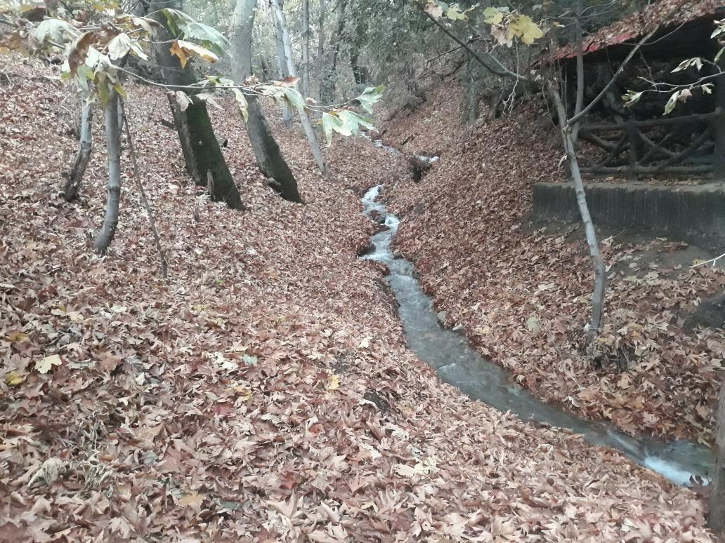 اردوگاه فرهنگی الزهرا