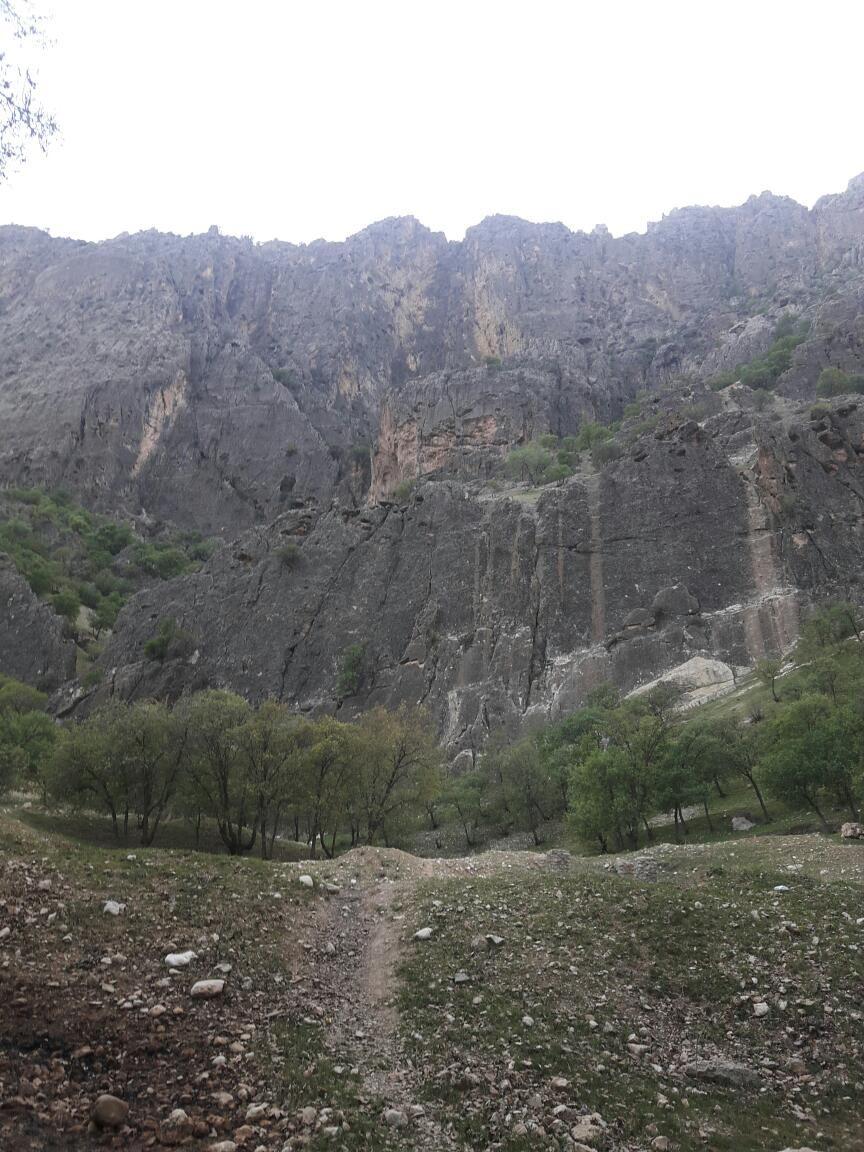 پارک جنگلی پروز