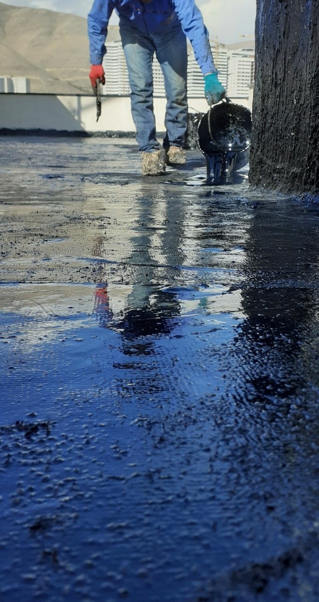 رضا احمدی