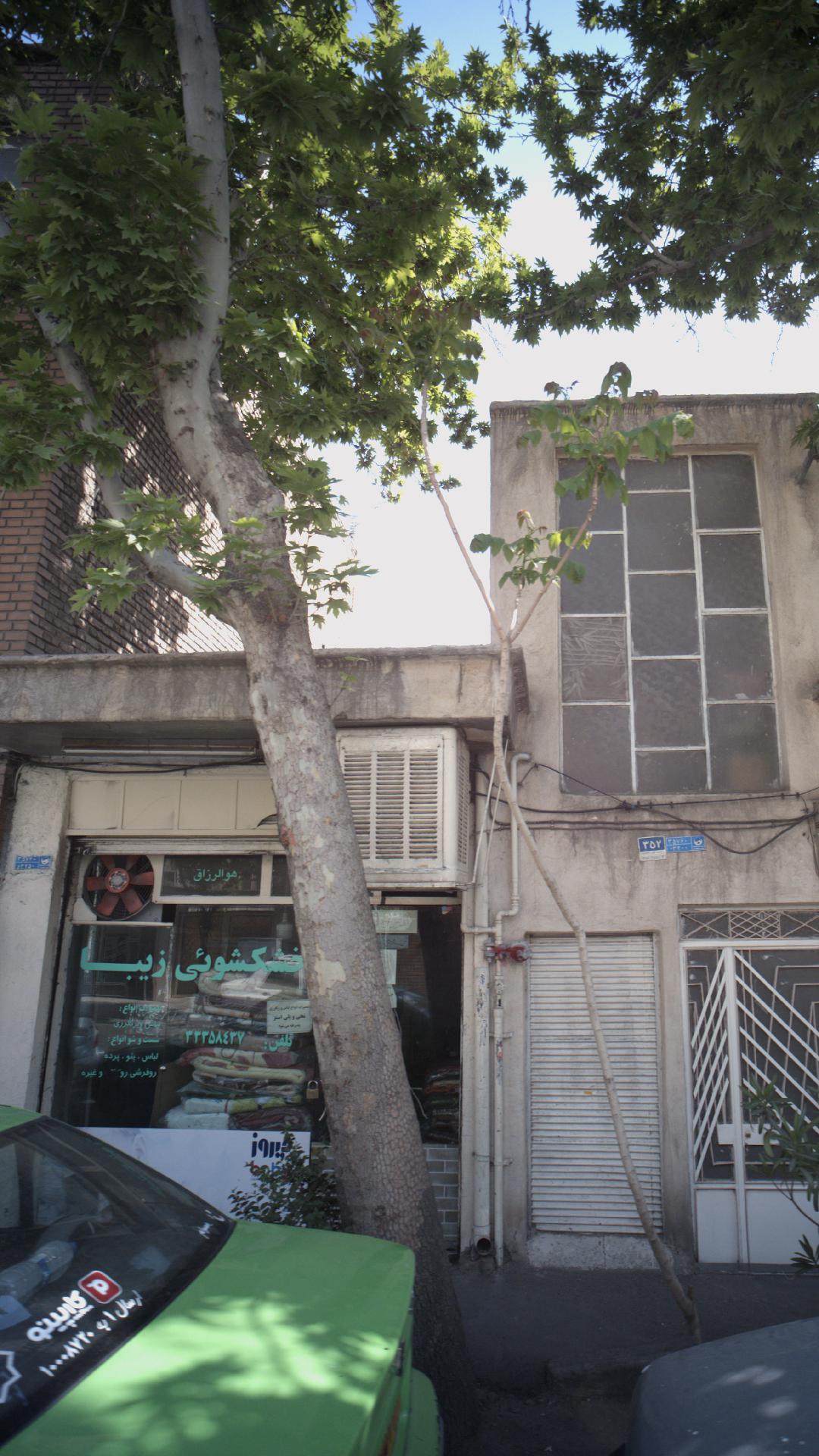 رویال نو