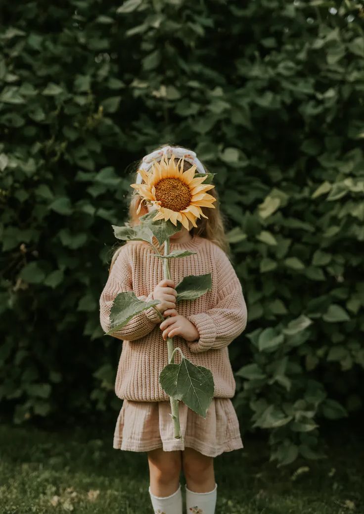 عکاسی لوکس مرکزی