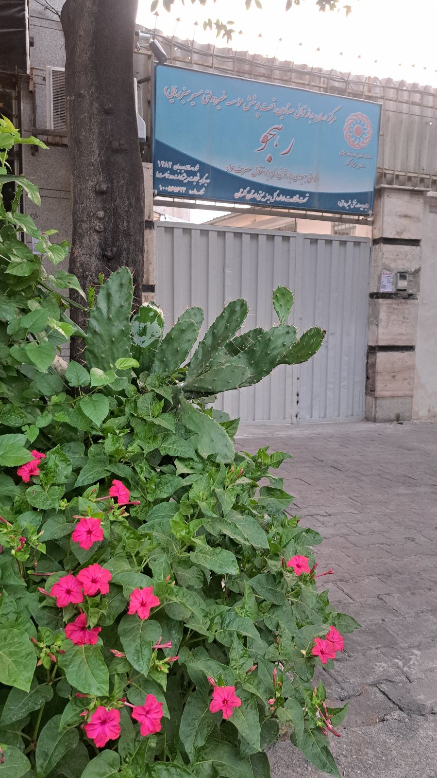 مرکز ترک اعتیاد اقامتی (رهجو)
