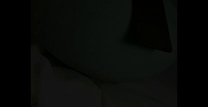 گالری هنری سورنا