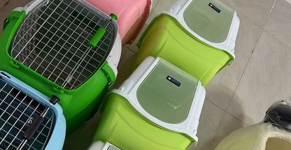 پت شاپ و باغ پرندگان شهرقدس