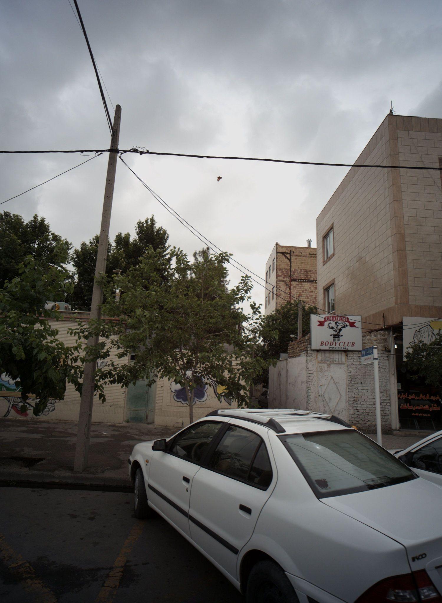 باشگاه قادری