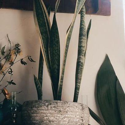 کافه خونه ما