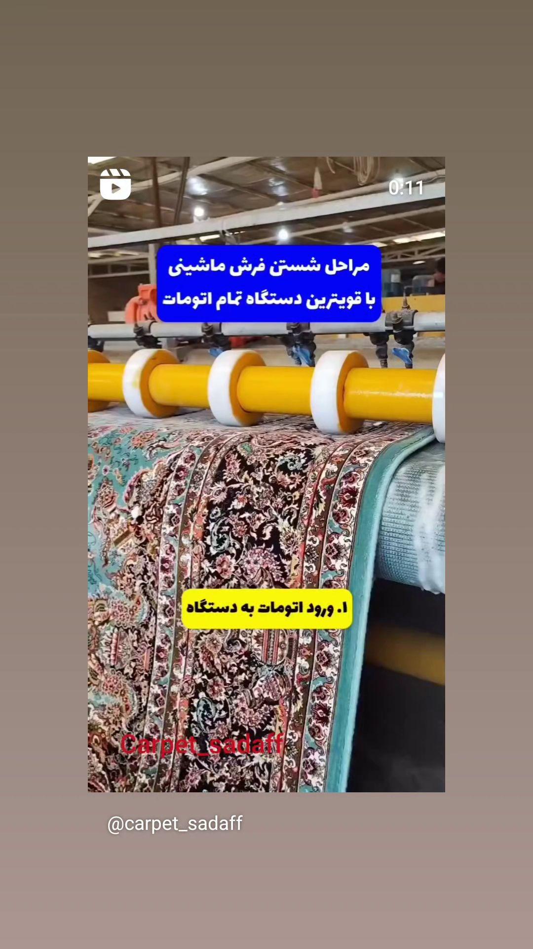 قالیشویی صدف