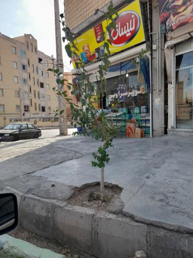 سوپر مارکت سراوین (بنفشه)