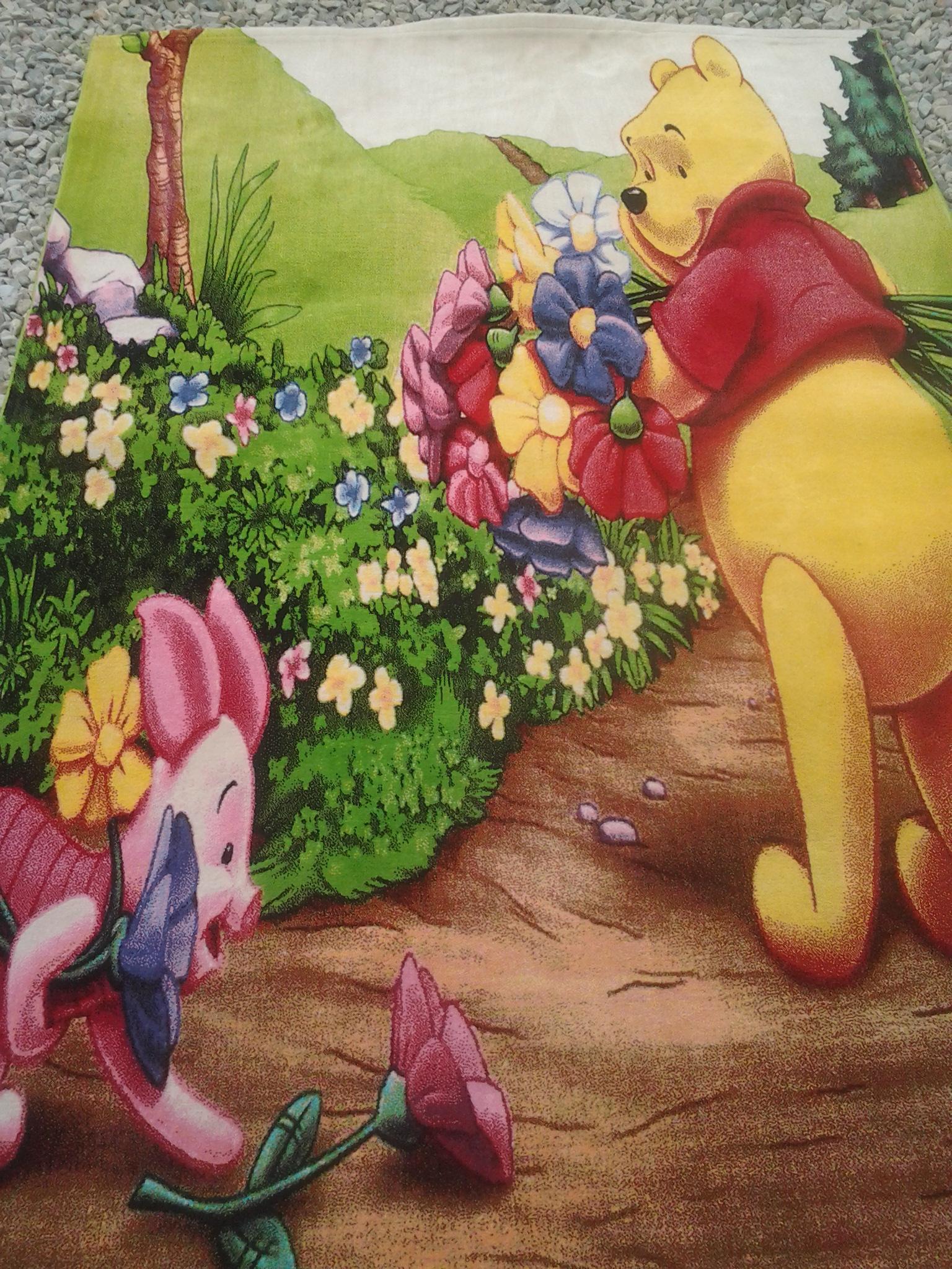 دفتر اداری قالیشویی شاطری