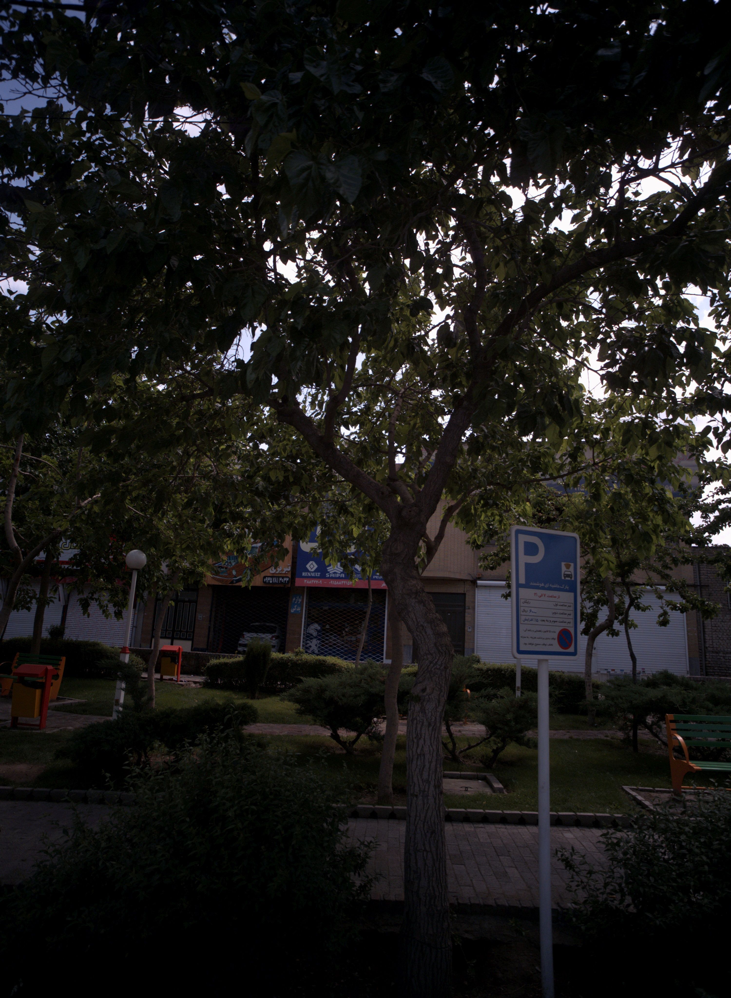 لوازم یدکی خودرو