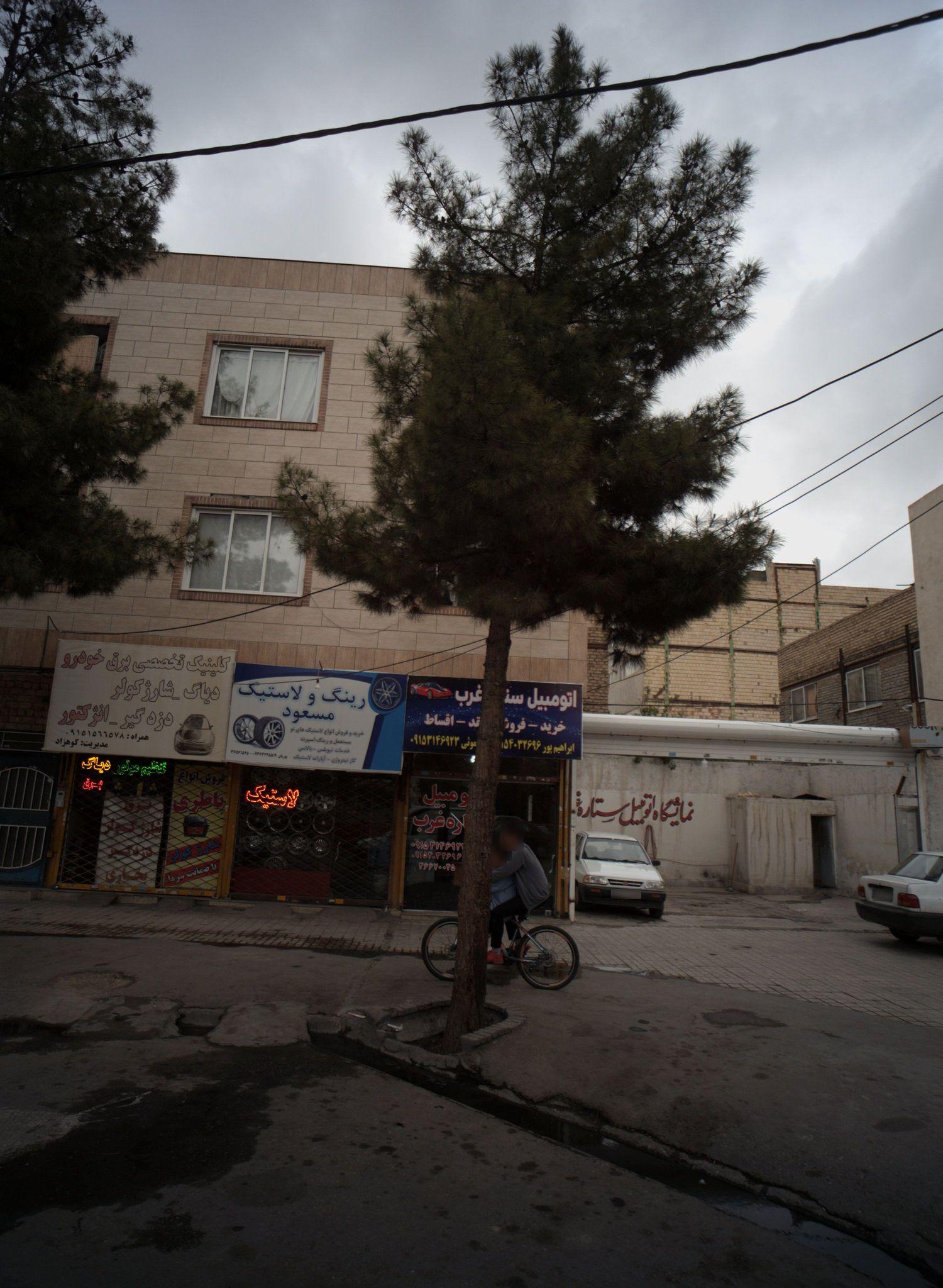 رینگ و لاستیک مسعود