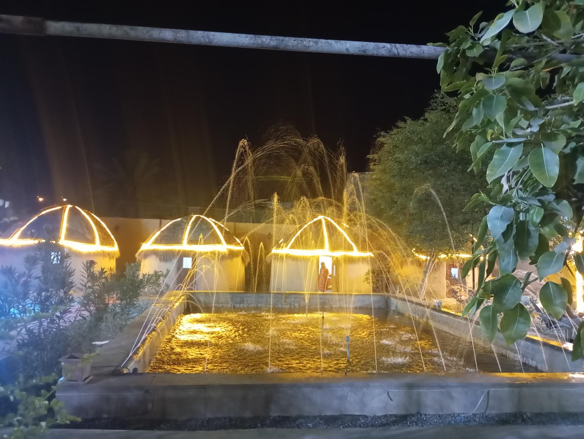 رستوران زیتون