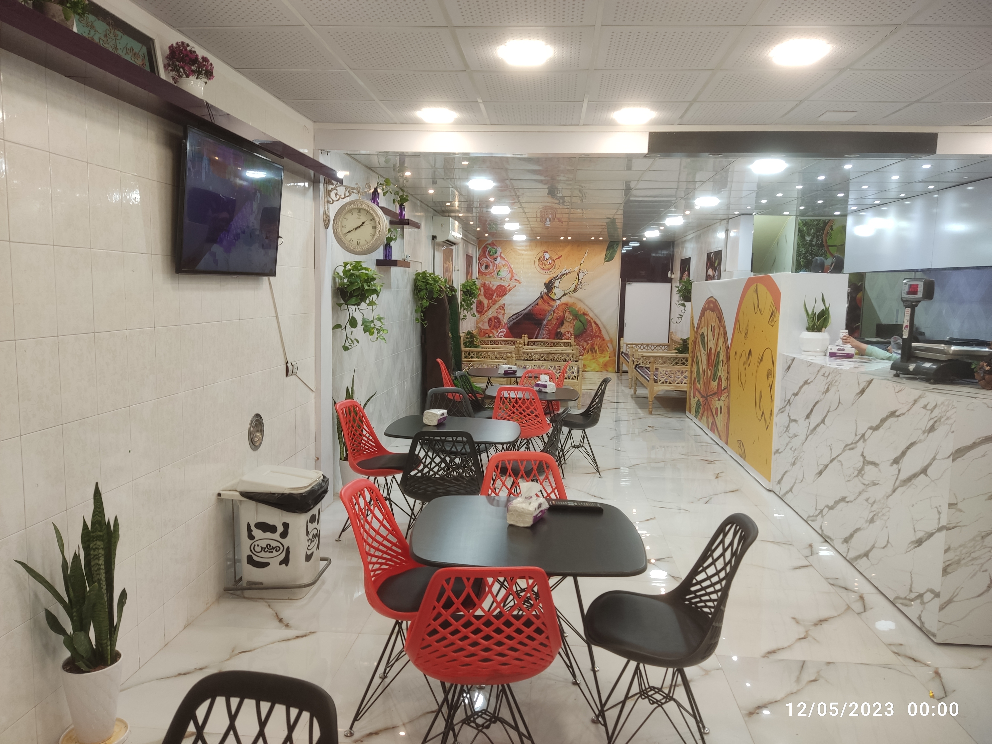 گالری رز سفید