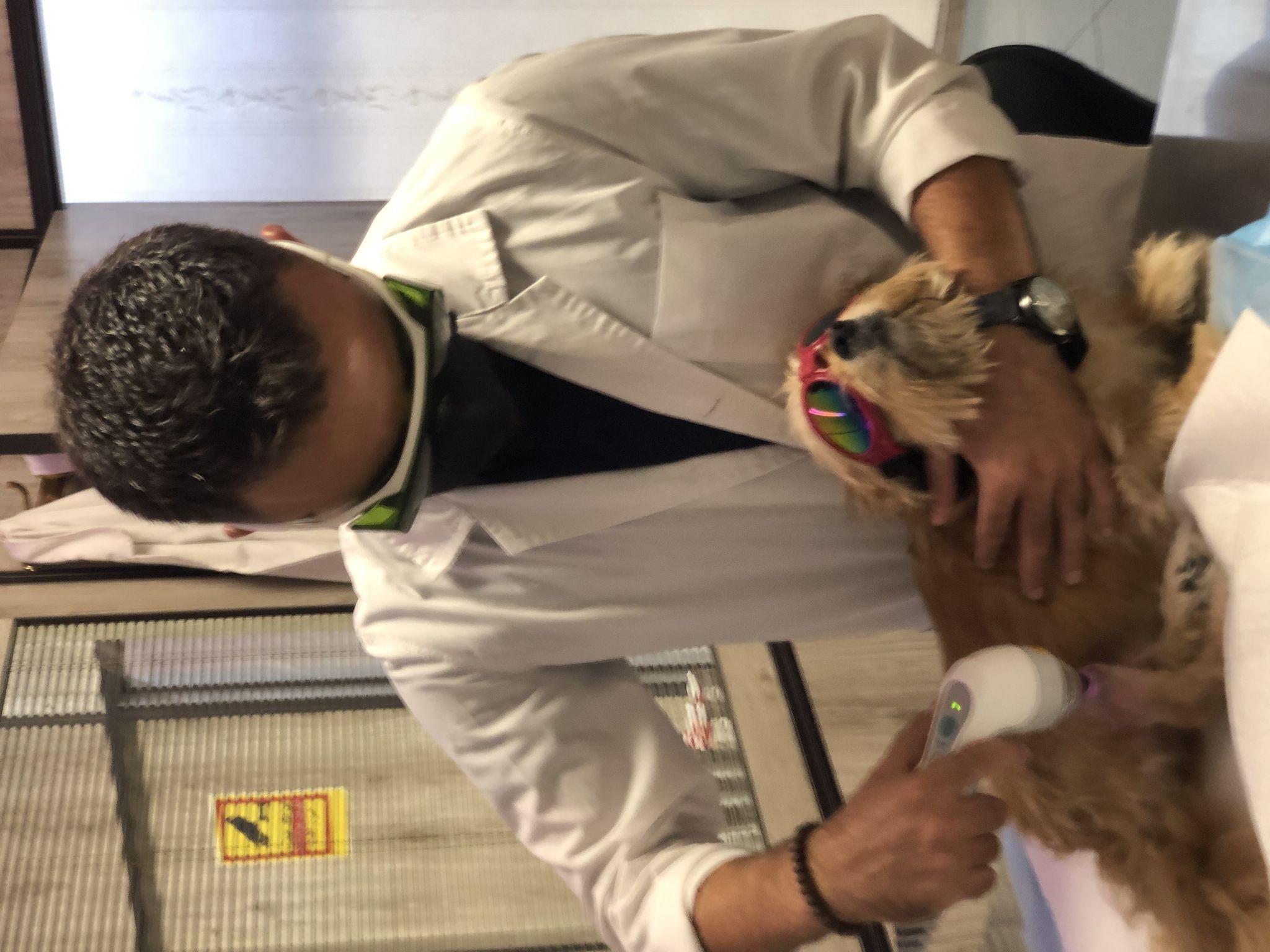 مرکز تخصصی " فیزیوتراپی" حیوانات خانگی فیزیوپت