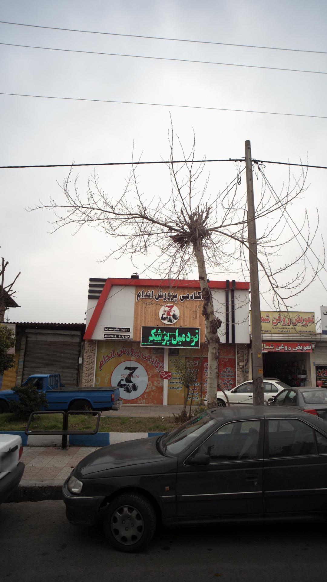 آکادمی پرورش اندام