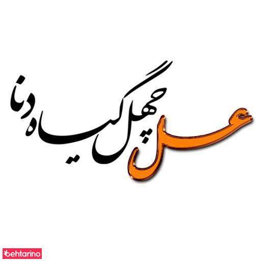 عسل چهل گیاه دنا 