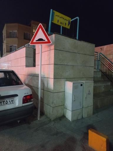 سرویس بهداشتی