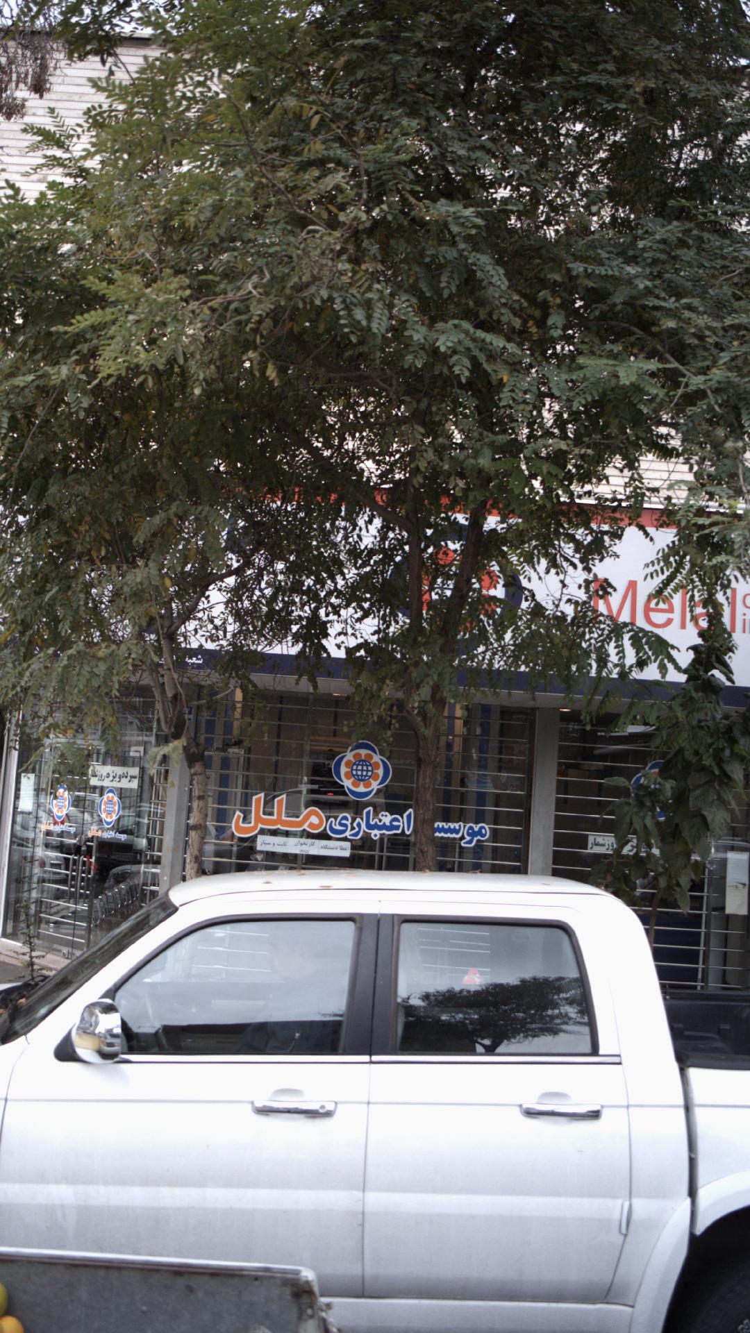 موسسه اعتباری ملل