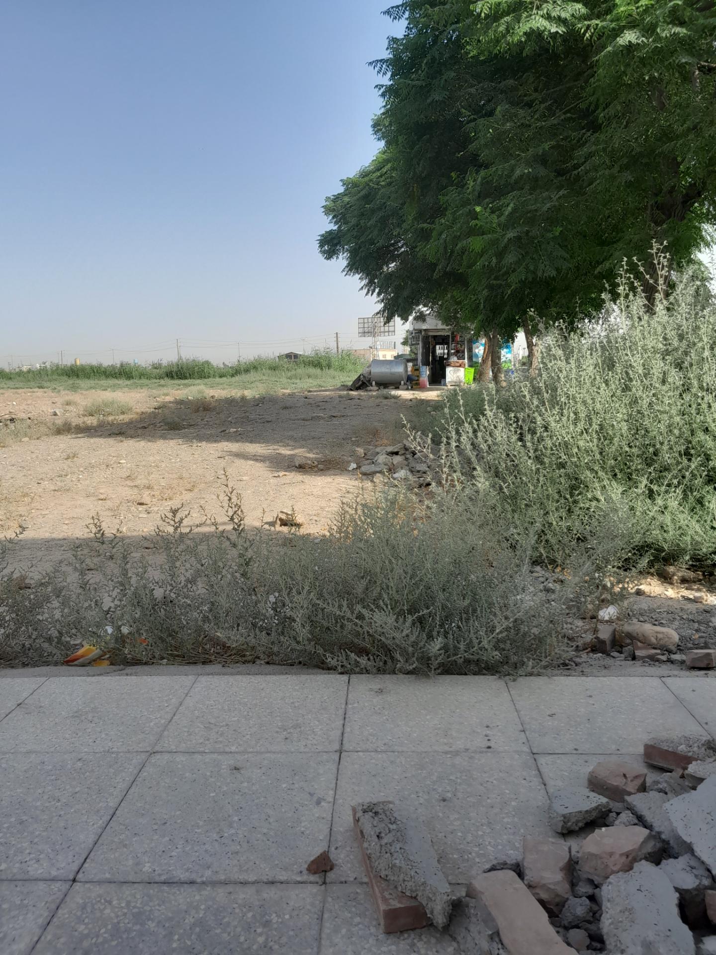 مغازه