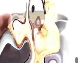 رستوران مرغ بریان