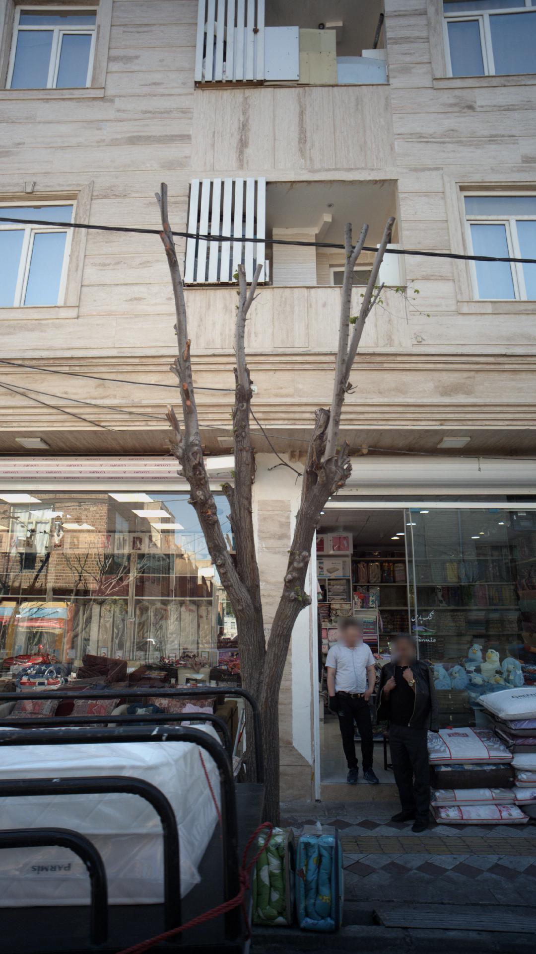 تشک پارمیس