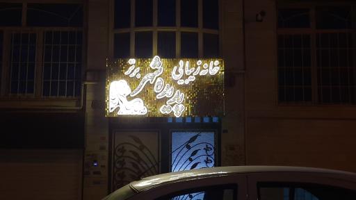 پدیده شهر برتر