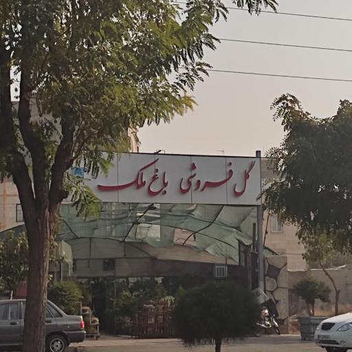 گل فروشی باغ ملک
