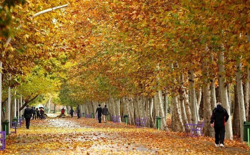 باغ بزرک وکیل آباد