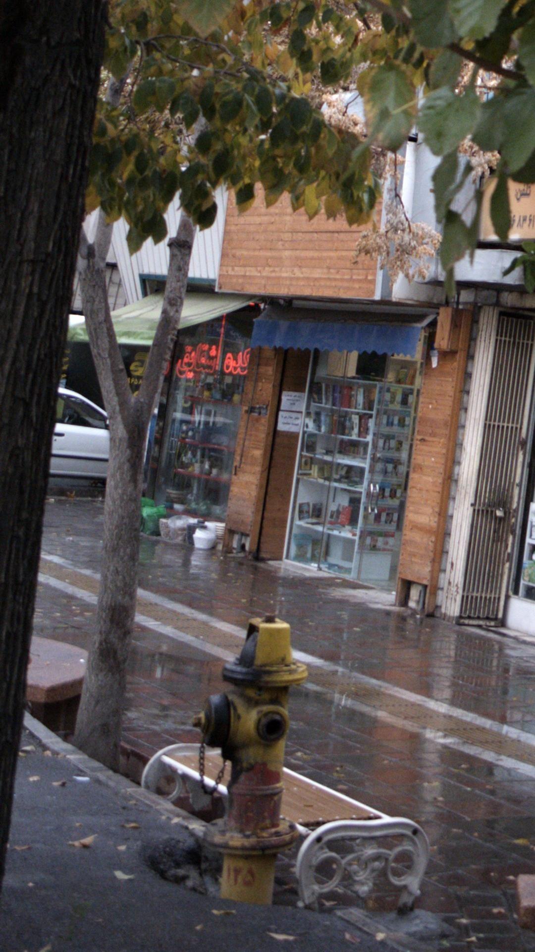 گلکده شقایق