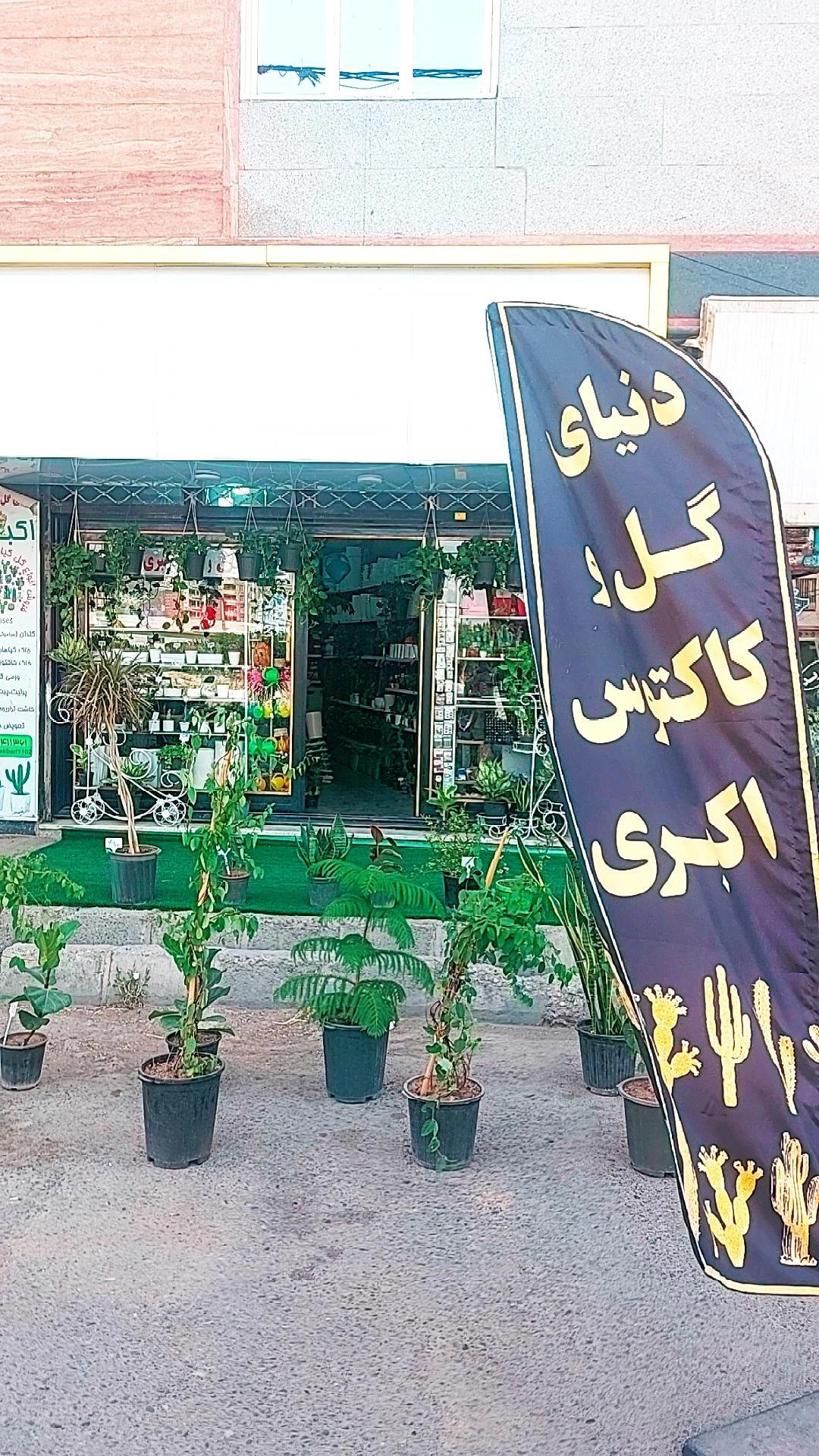 گل فروشی نرگس