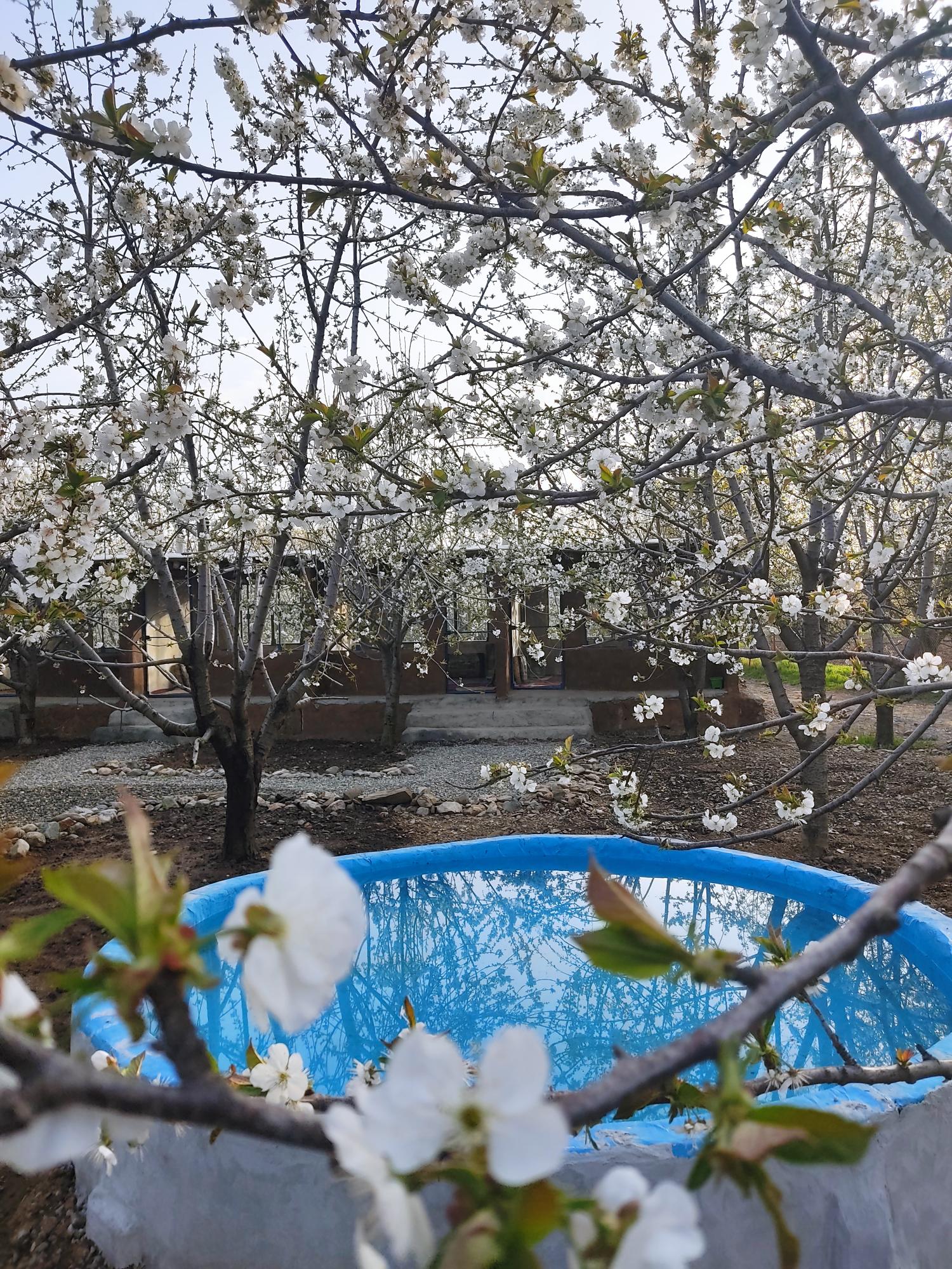 باغ رستوران ژینگه