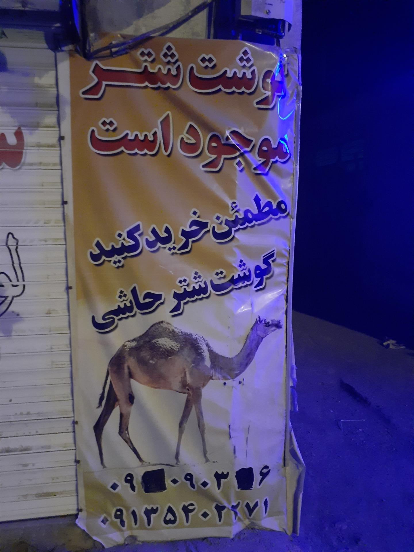 مرغ و ماهی کویر