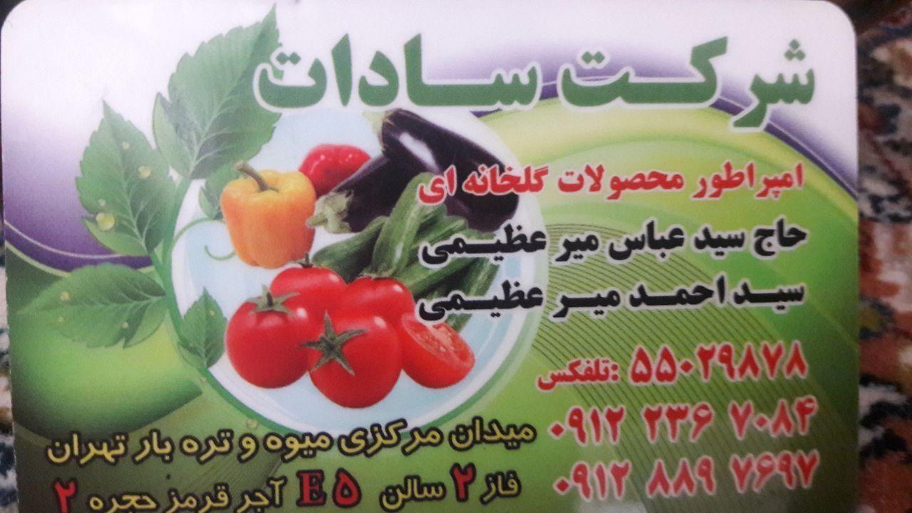 میوه فروشی میرعظیمی