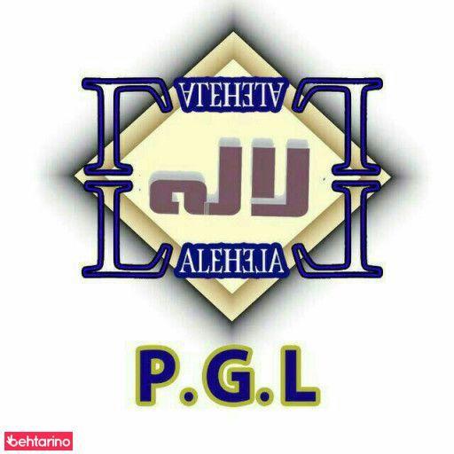 پرادازش گستر لاله مجری شبکه های رایانه ای