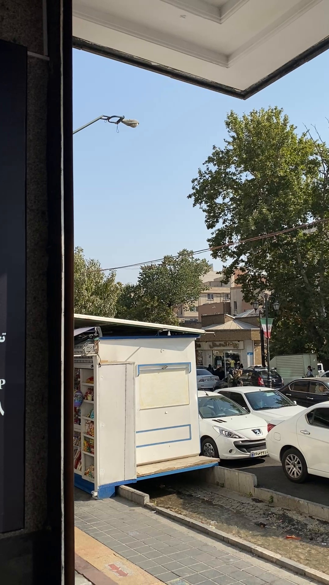 مطب ارتوپدی