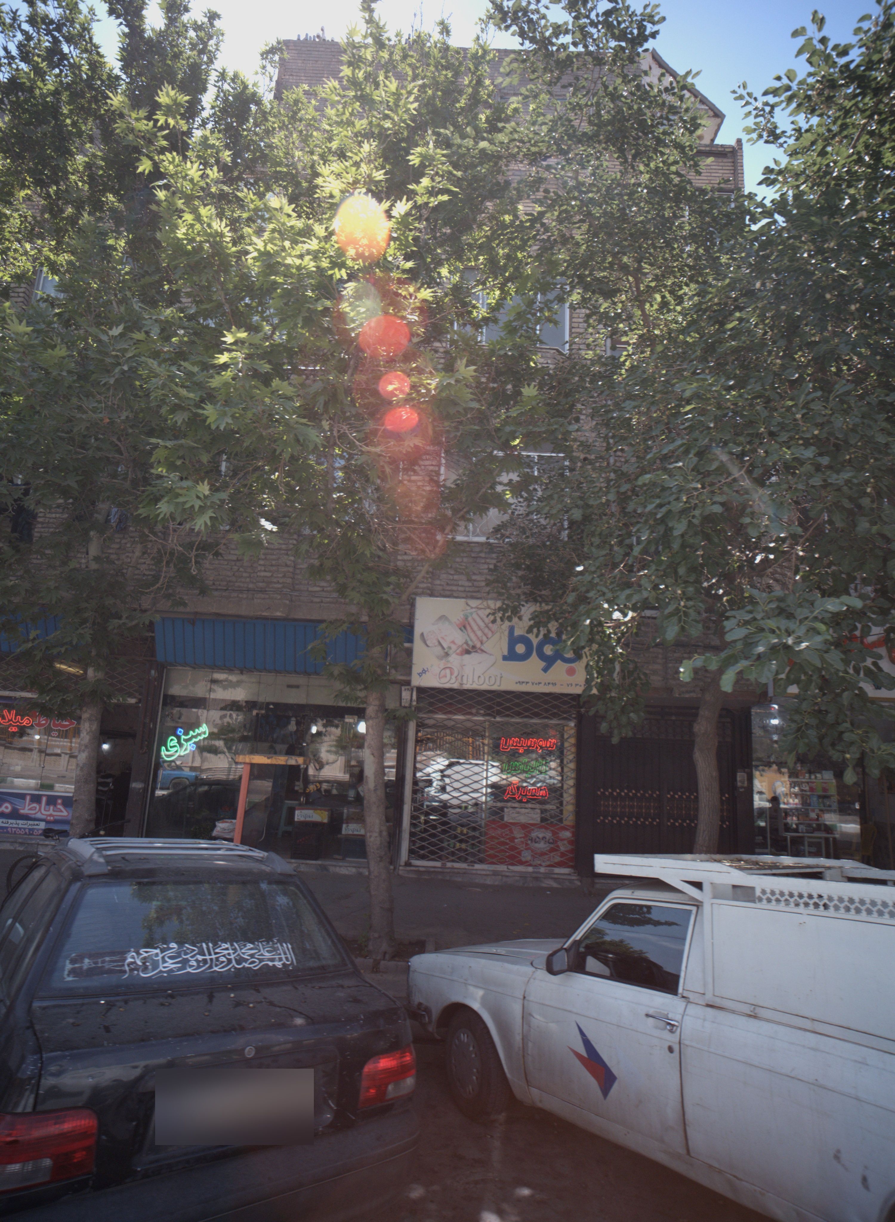 فروشگاه پروتئینی بلوط