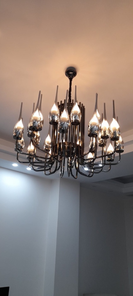 سعید سیاوشی