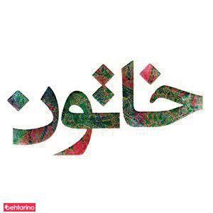 تهیه غذای خاتون