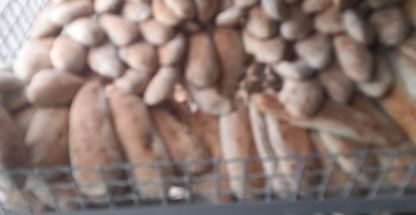 نانوایی ساندویچی کریمی