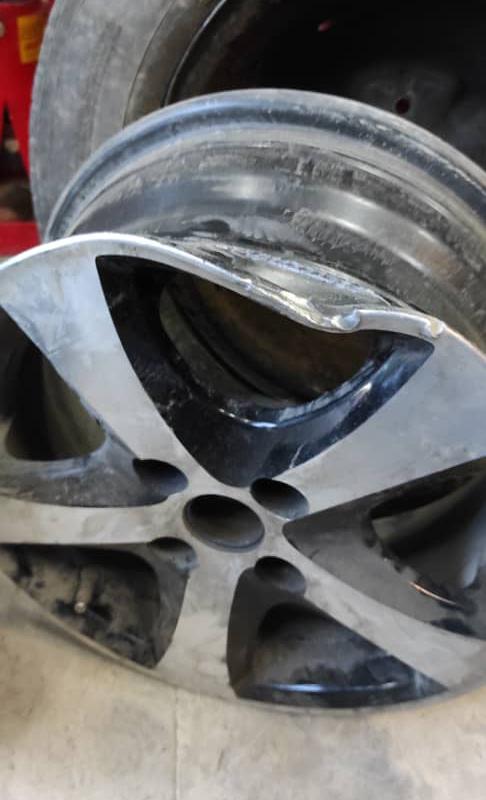 تابگیری رینگ طاها