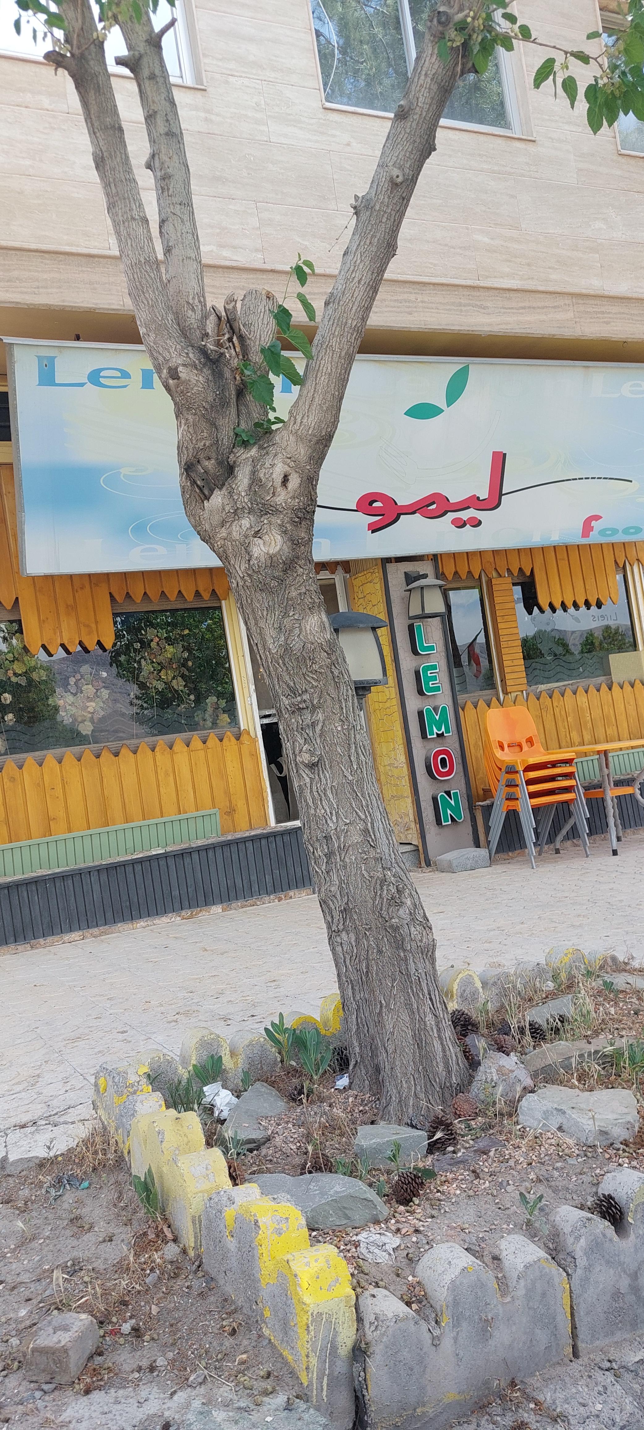 رستوران لیمو