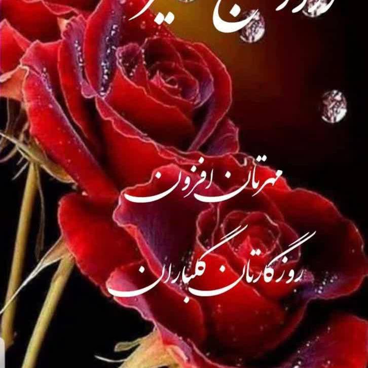 ایران یاسا