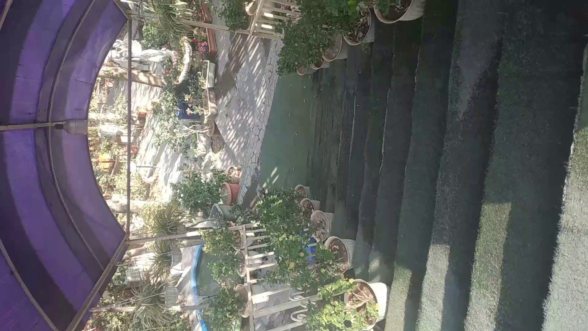 رستوران باغ افتاب