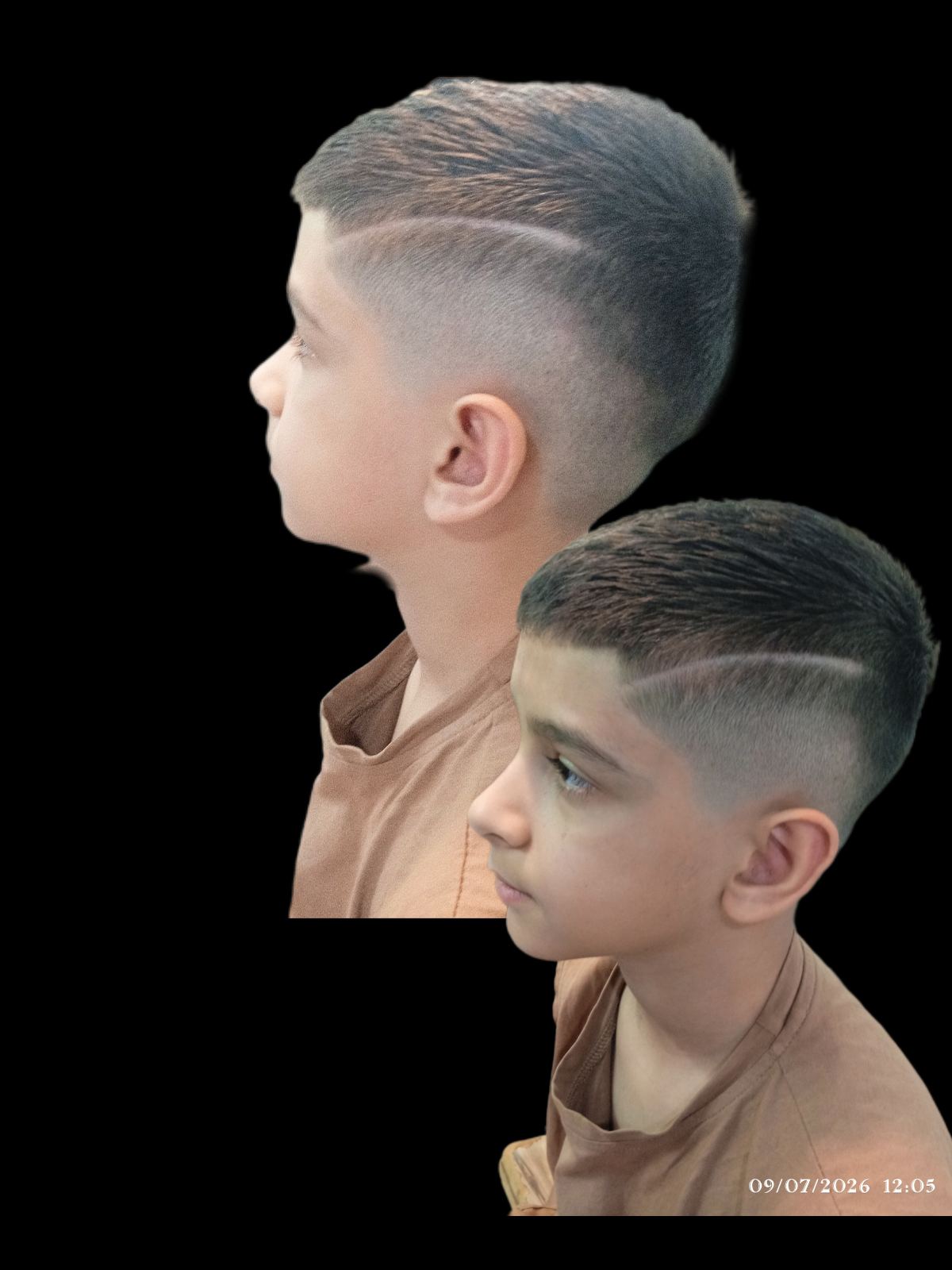 پیرایش پارک وی - داراب - 9148