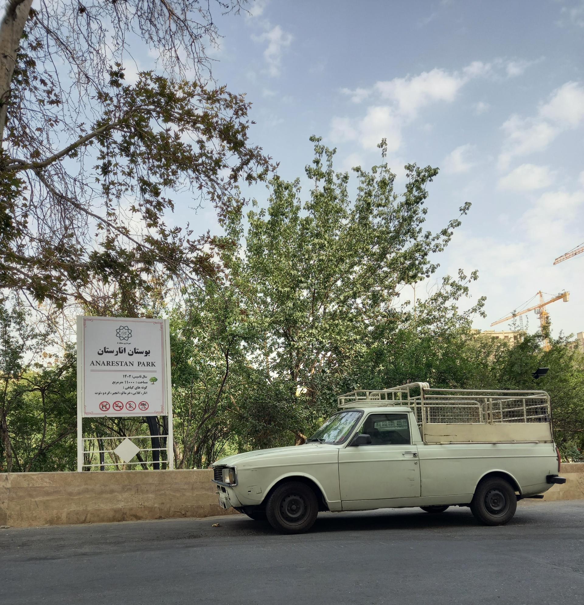 بوستان کاج ملاصدرا