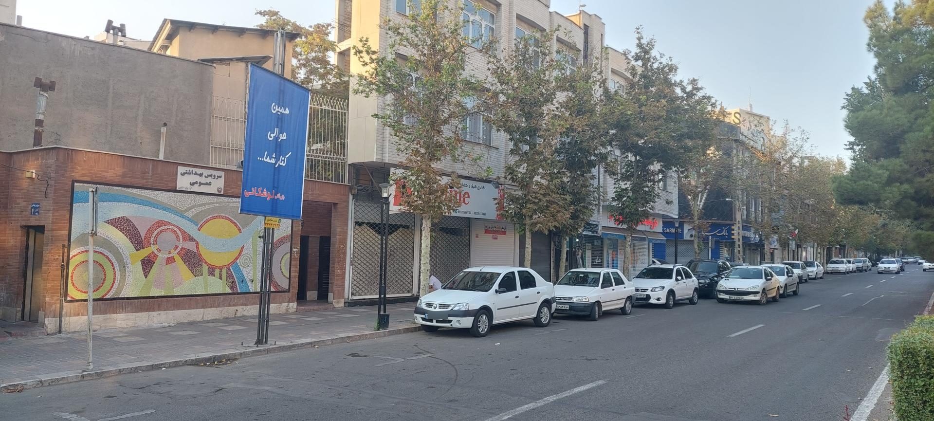 پارک ملت