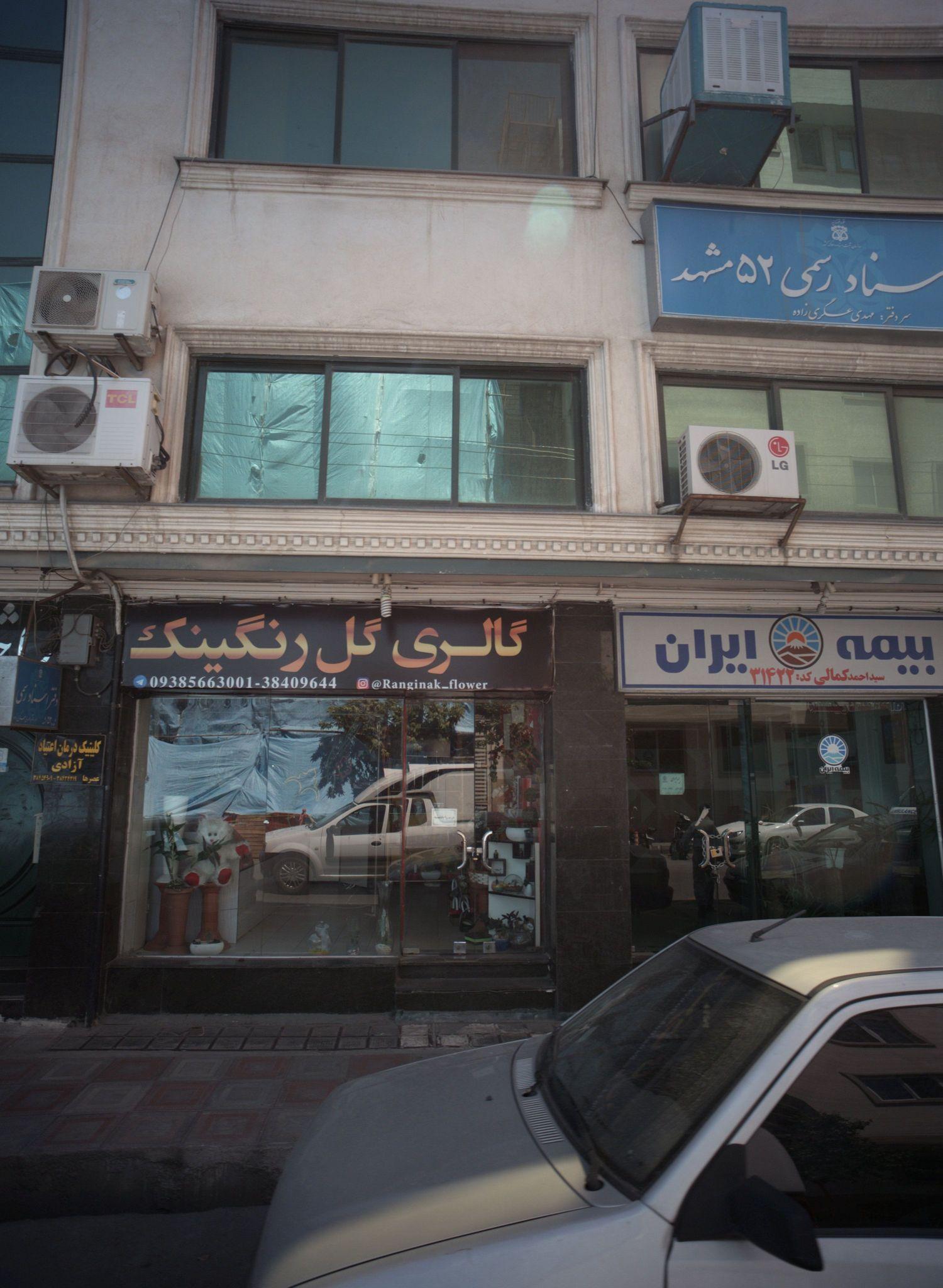 گالری گل رنگینک