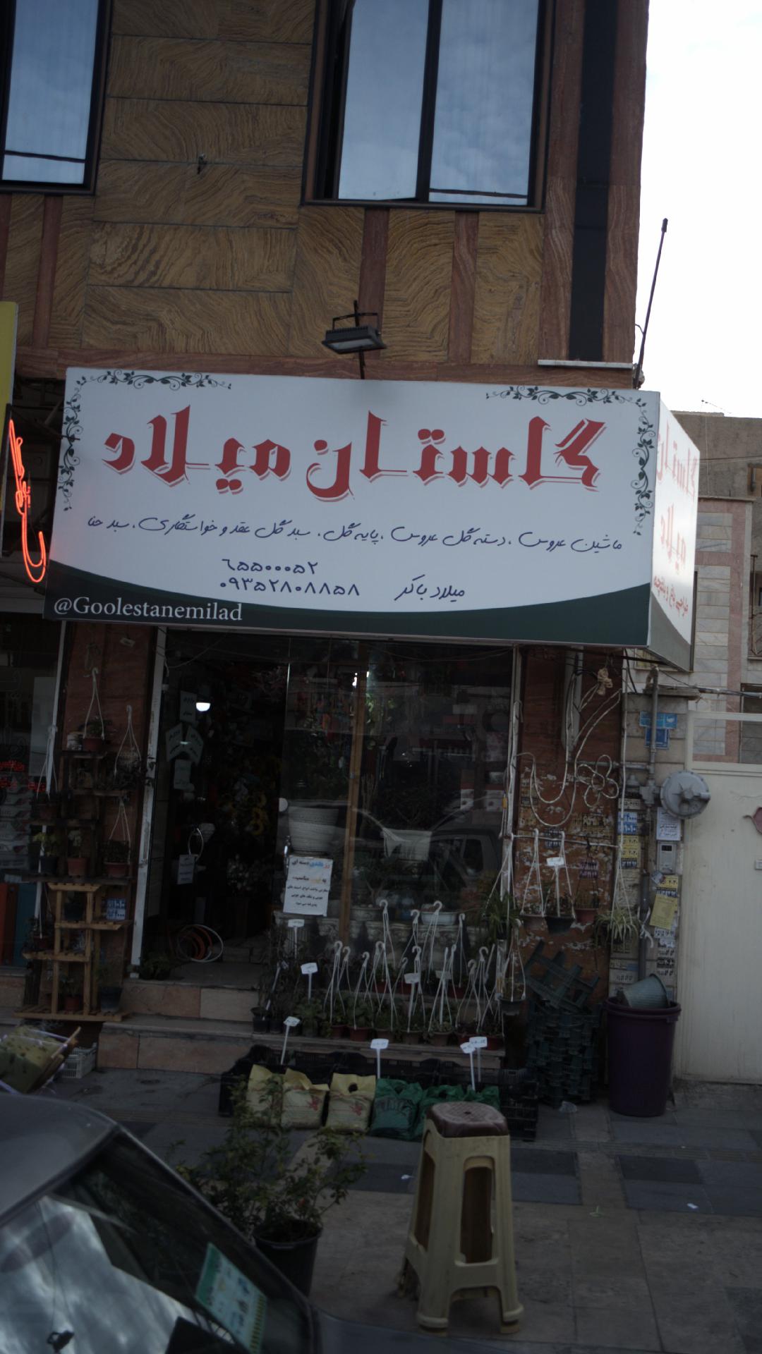 گل فروشی ارغوان