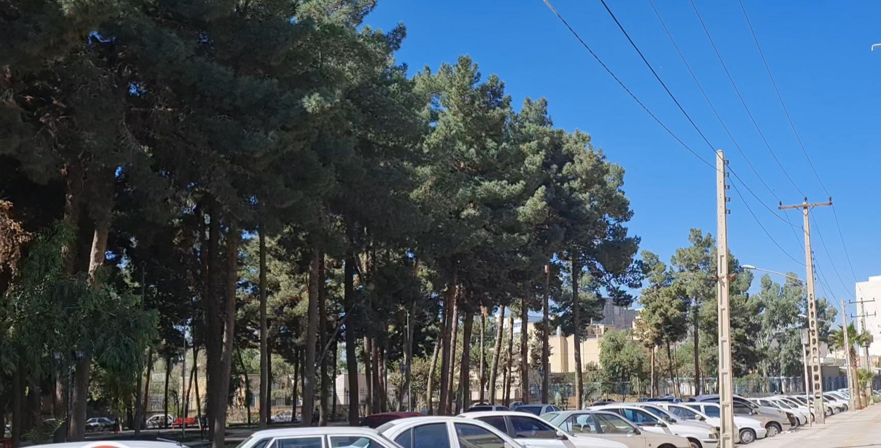 پارک موزه یاس