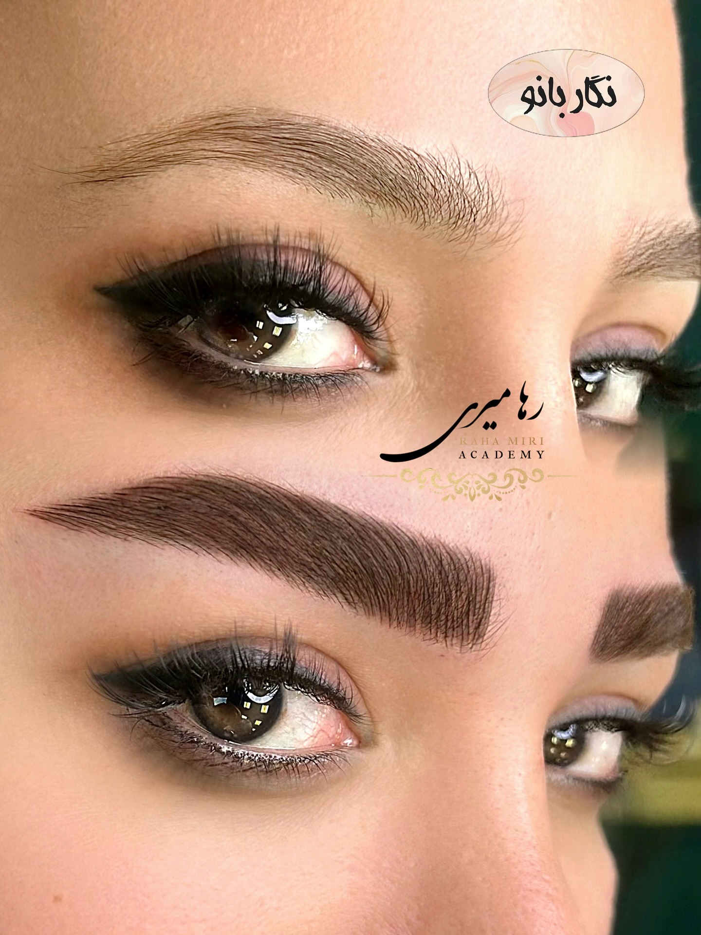 مرکز میکرو رها میری